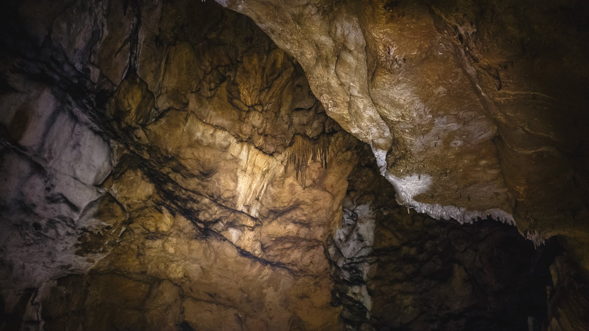 college student locked in cave for 60 hours